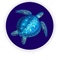 Ceramicsfitz_logo_white_03b